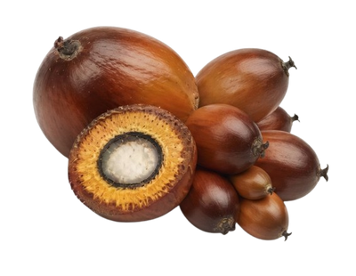Batana Oil