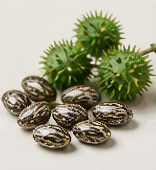 Castor Oil