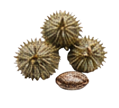 Castor Oil
